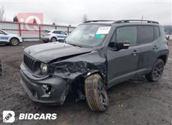 جيب رينيجيد